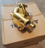 Gold Triumph water pump.jpg