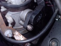 IMG_20260807_164943_879.jpg