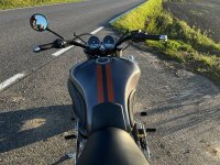 IMG_0527.jpeg