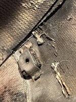 IMG_1964.jpeg