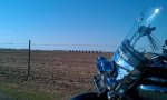 cADILLAC rANCH.jpg