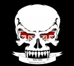 skull w 2013 banner.jpg