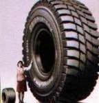 ImageUploadedByTapatalk HD1365117163.633349.jpg