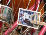 cards-on-bike-wheels.jpg
