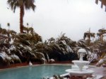 palm springs snow.jpg