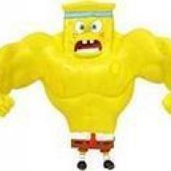 Spongy Rider