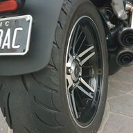 BacBull