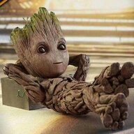 Groot