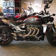 Badger53