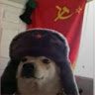 ale_bimer
