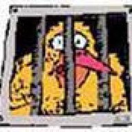 Gaolbird