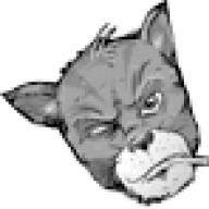 TOMCAT