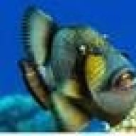 teraeric