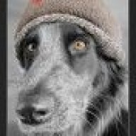 1K9