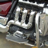 saddleup