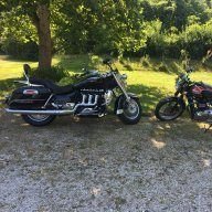 Rolls-Hog