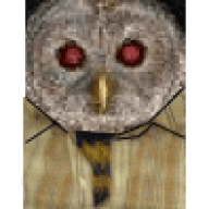 owl
