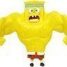 Spongy Rider