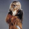 The Wookiee