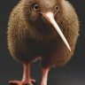 Kiwi