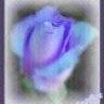 DustyRose