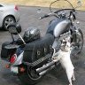 Otis Rocket