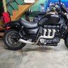 bulldog_biker