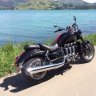 NZ Rider