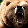 Mikethebear