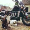 jvrocket2300