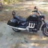 GriZzlyRoadster14