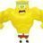 Spongy Rider