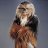 The Wookiee