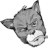TOMCAT