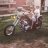 bigTriumphrider