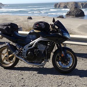 DEcosse Daytona/Speed Triple