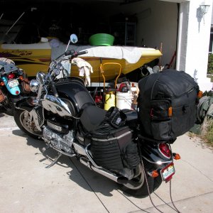 Loaded for bear