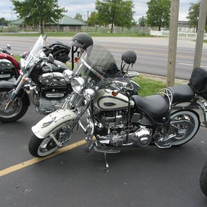 Springer Harley