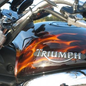 gas tank