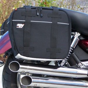 Nelson Rigg CL850 bags hard mounted to Easy Mounts.