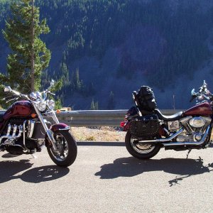 bikes