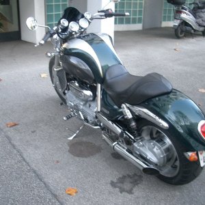 100-CIMG3695_CIMG3695
