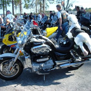 toy ride / Lake City Florida