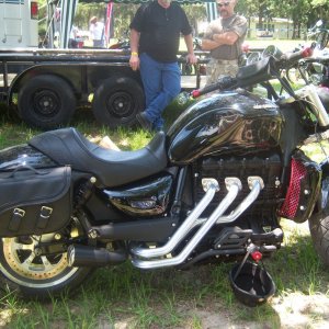 Dog's Bike (2)