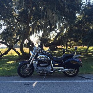 brazos bend