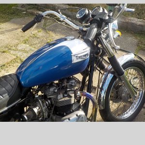 79 Model