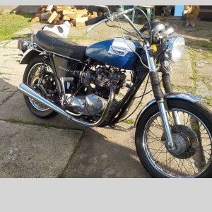 79 Model