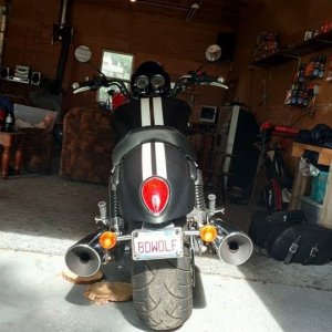 BDWOLF