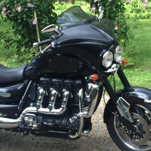 Black Betty