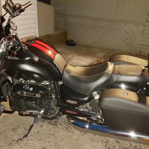 new saddles